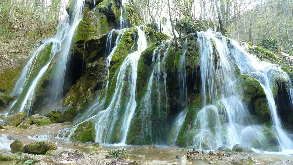 Imagini pentru beusnita